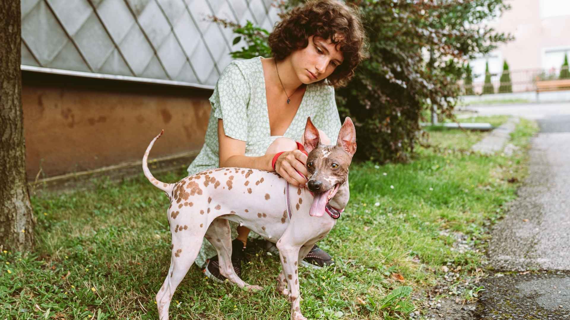 Tutor con perro sin pelo